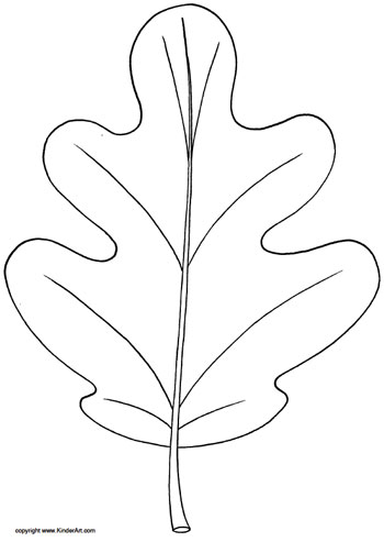 Картинки по запросу leaf coloring picture oak